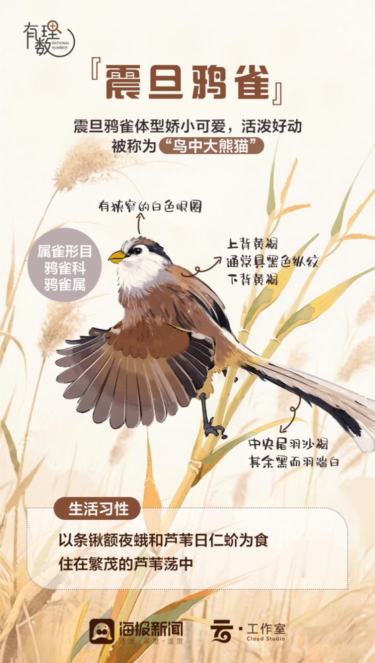 涯ɽحѻȸ