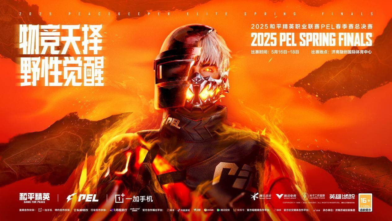 2025ƽӢְҵPELܾذؼϣ羺ҵչ¶